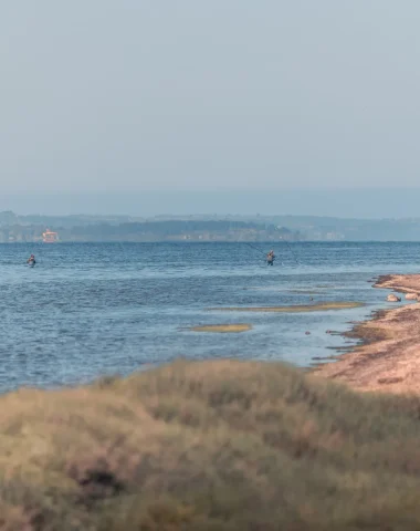 Le parc naturel régional de la Narbonnaise