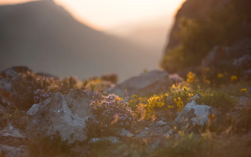 Le parc naturel régional Corbières Fenouillèdes