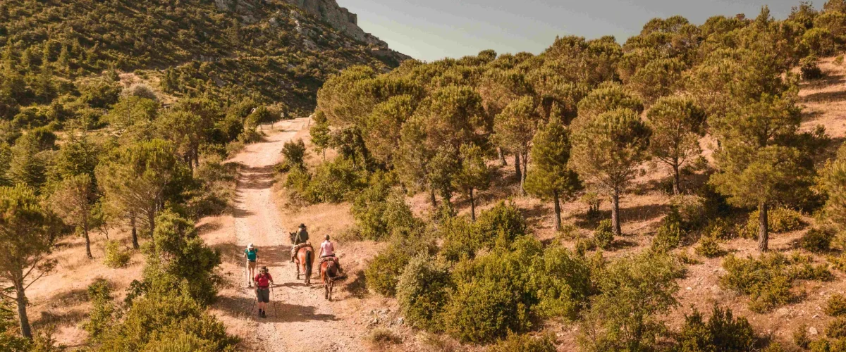 Sentier Cathare – GR 367