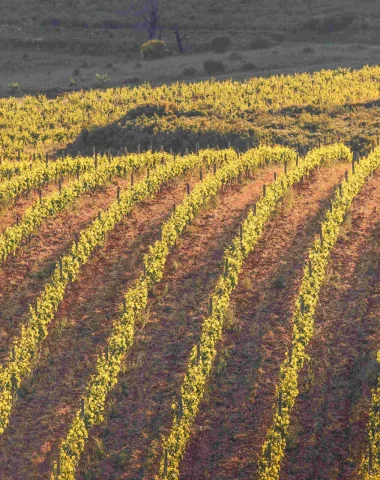 Les appellations