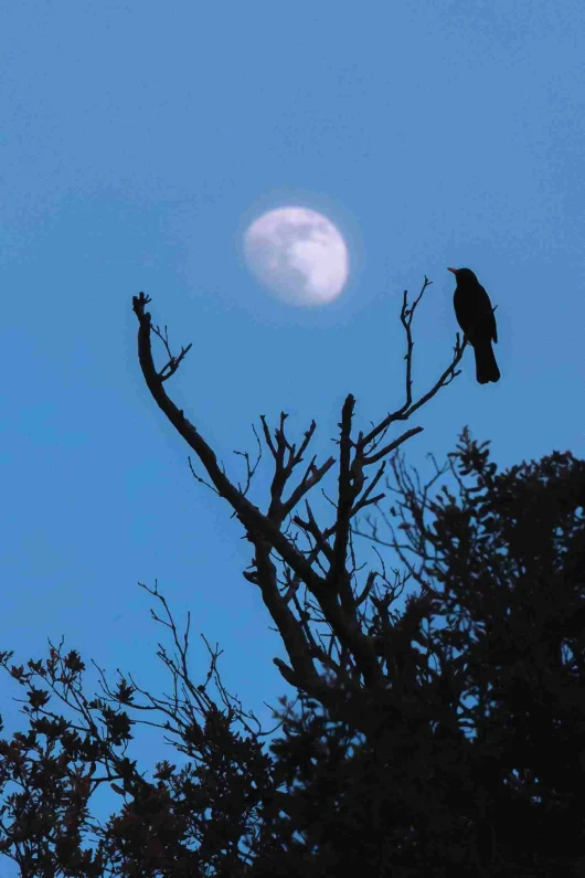 Le parc naturel régional Corbières Fenouillèdes