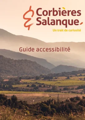 Guide accessibilité
